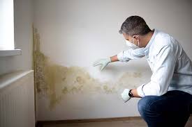 Best Asbestos and Lead Testing During Mold Inspection  in Nassau Village Ratliff, FL